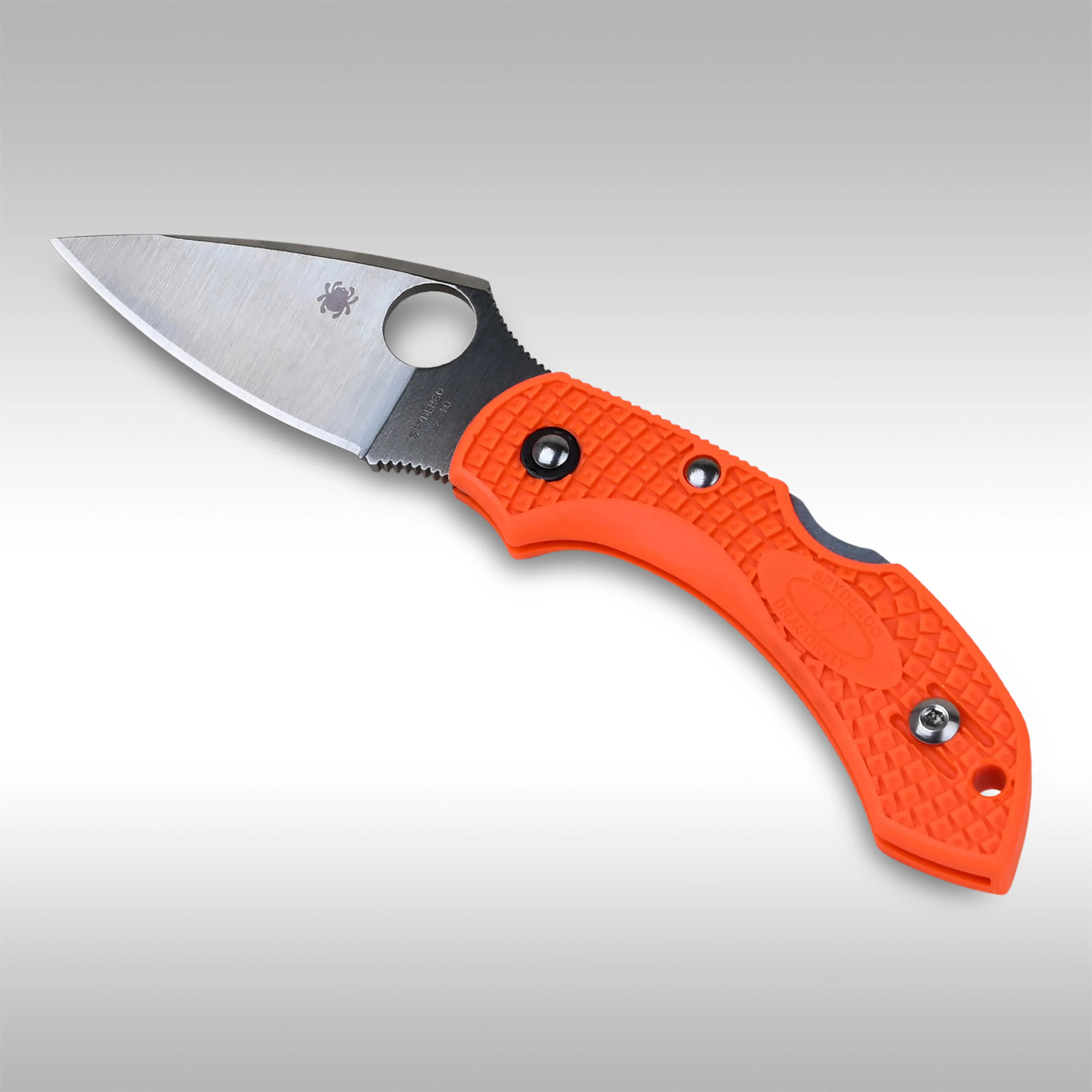 SPYDERCO KNIVES - DRAGONFLY 2 - Image 4